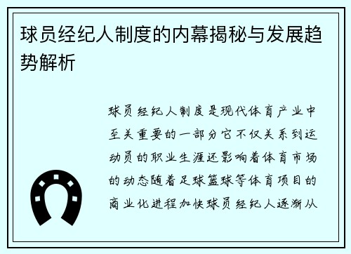 球员经纪人制度的内幕揭秘与发展趋势解析