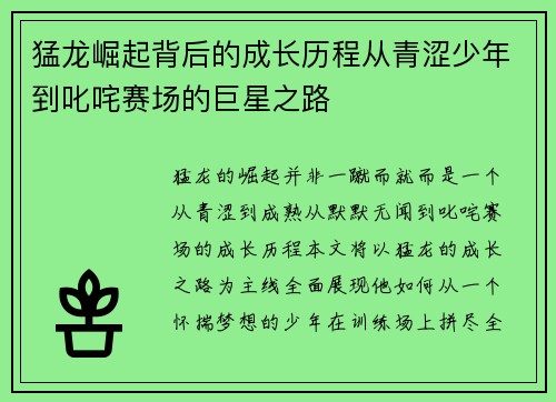 猛龙崛起背后的成长历程从青涩少年到叱咤赛场的巨星之路