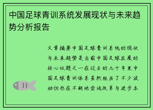 中国足球青训系统发展现状与未来趋势分析报告 中国足球青训系统发展现状与未来趋势分析报告